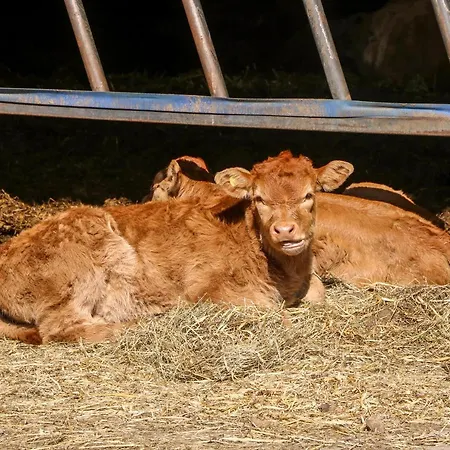 2 Pines Farm